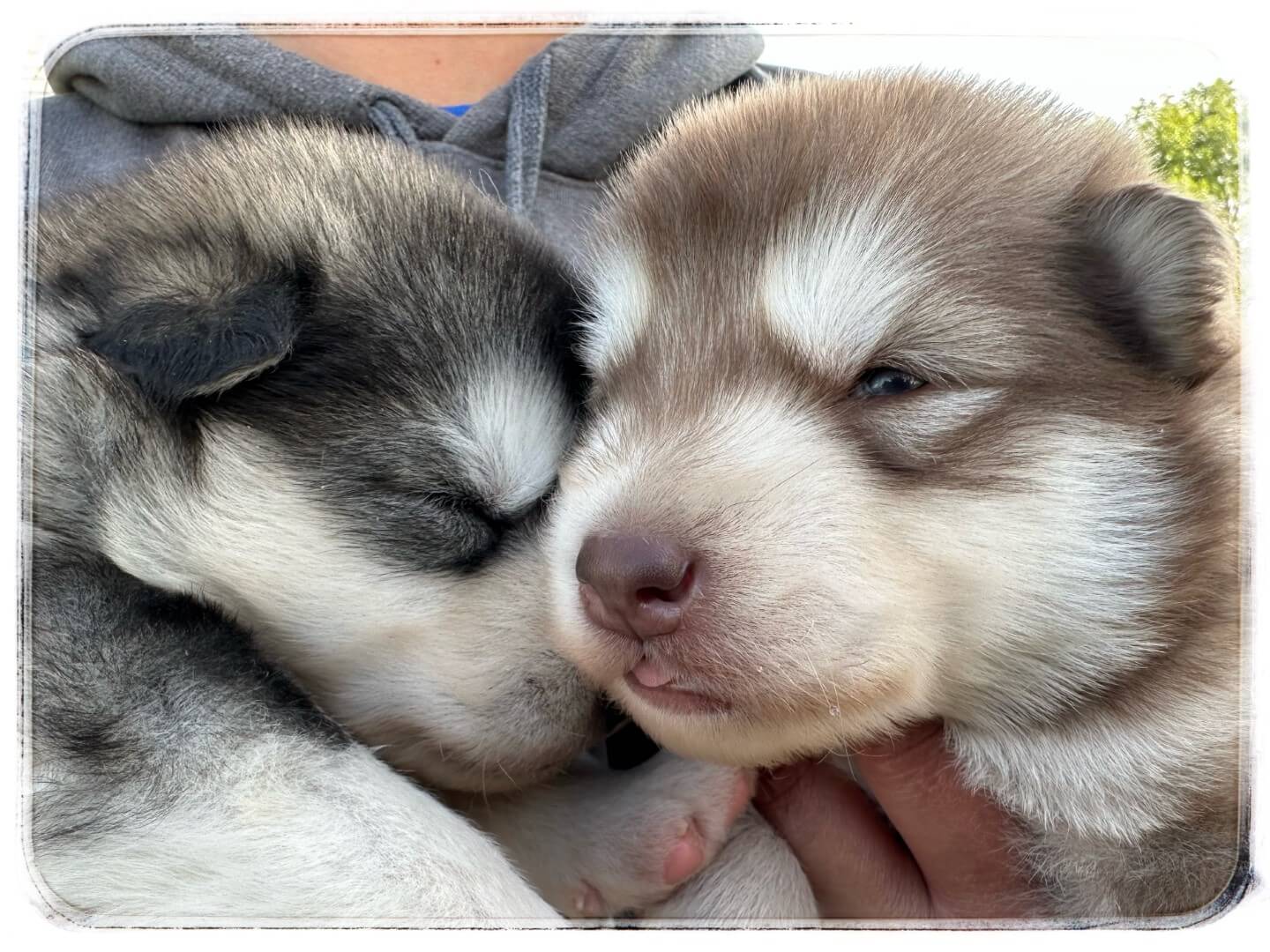 2 Week Photos… Now&nbsp;Up!